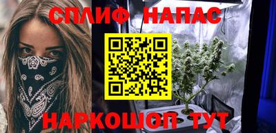 крисы Славгород