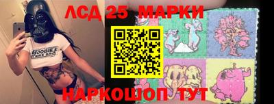 крисы Славгород