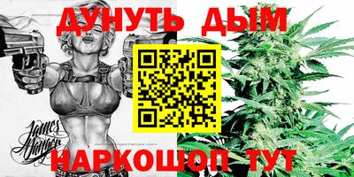 крисы Славгород