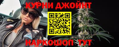 крисы Славгород