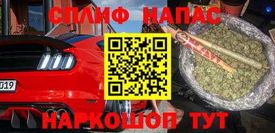 крисы Славгород