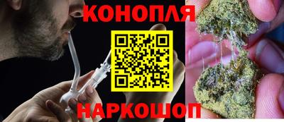крисы Славгород