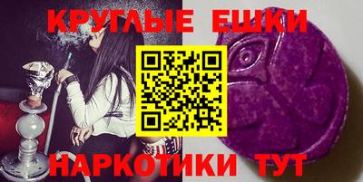 крисы Славгород