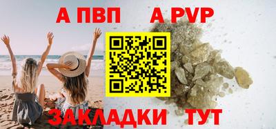 крисы Славгород