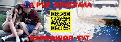 крисы Славгород