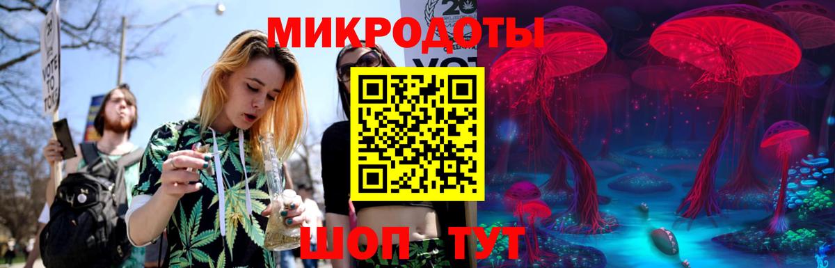Псилоцибиновые грибы прущие грибы Ростов-на-Дону